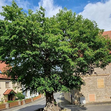 Ferienwohnung Zur Linde Dettelbach Buitenkant foto