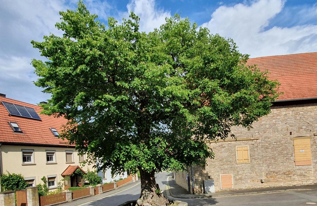 Ferienwohnung Zur Linde Dettelbach Buitenkant foto